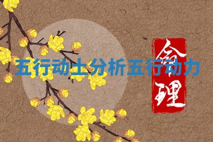 五行动土分析 五行动力 五行动土分析 五行动力