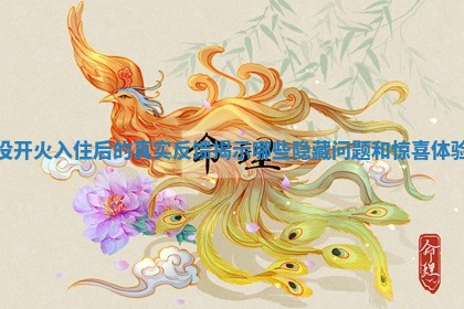 没开火入住后的真实反馈揭示哪些隐藏问题和惊喜体验